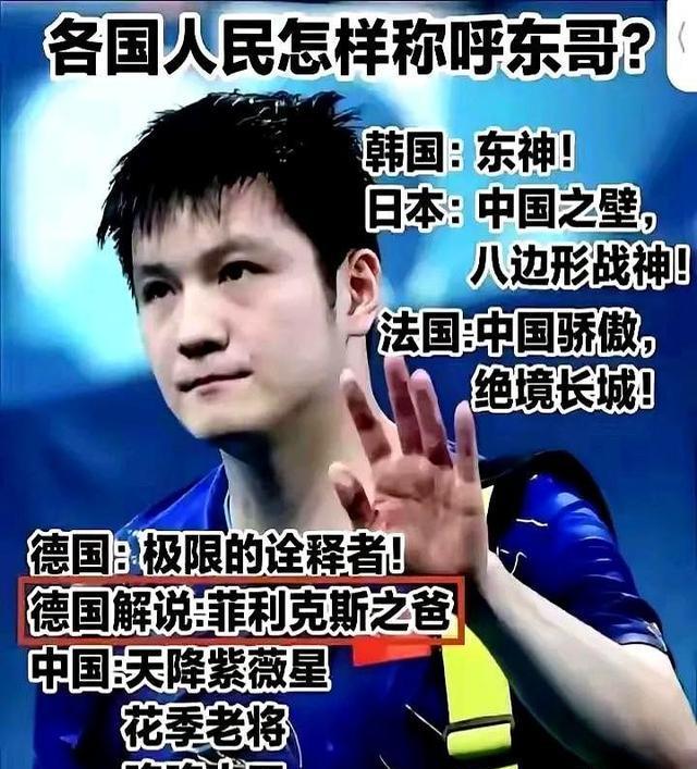 日本队险胜瑞典队，樊振东统治全场