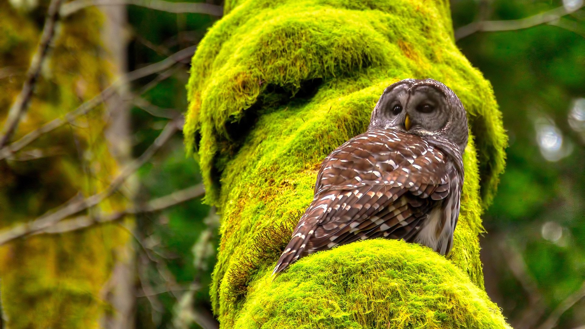 不存在的绝杀，本泽马如何穿越进英西决战