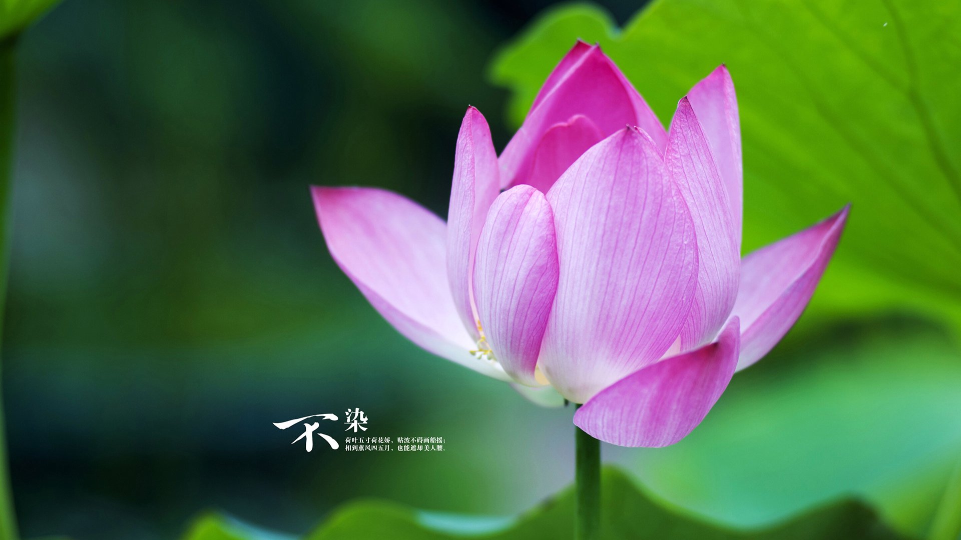 那一拍，点燃了一个时代—许昕绝杀瑞典记