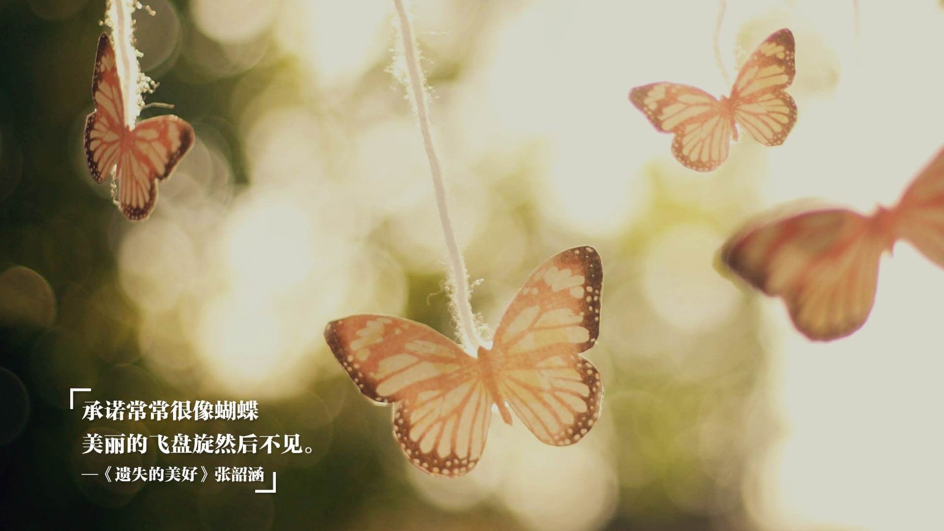 一场特殊的演唱会,球拍与歌声的交响