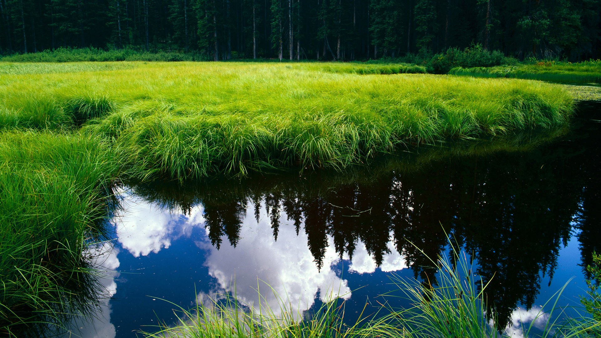 当黄色潜水艇驶向南美,孙兴慜如何让委内瑞拉人忘记对手是俱乐部