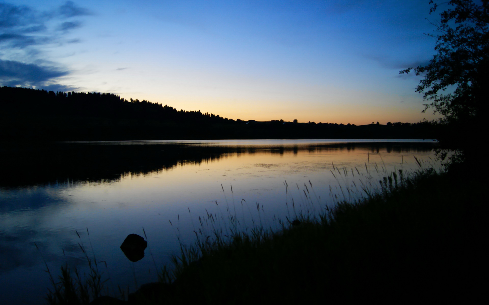 篮球世界排位赛烽火再燃,金州勇士力斩浙江广厦锁定关键积分