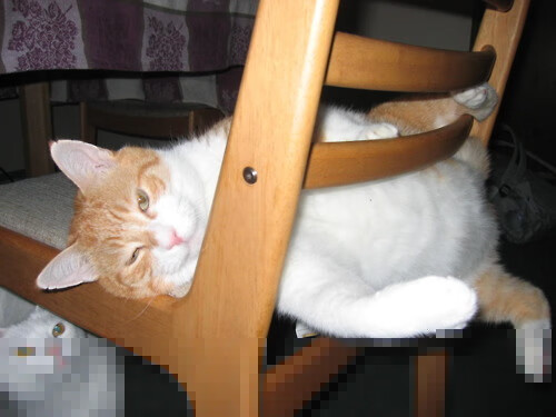 掘金金矿深挖钱江潮，西亚卡姆封喉成关键先生