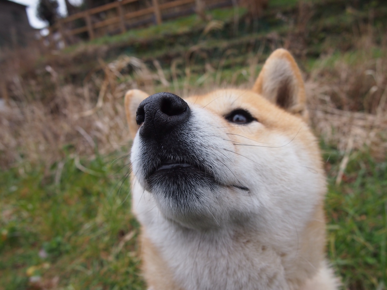 深蓝恐惧，文班亚马在年度焦点之夜的进攻艺术
