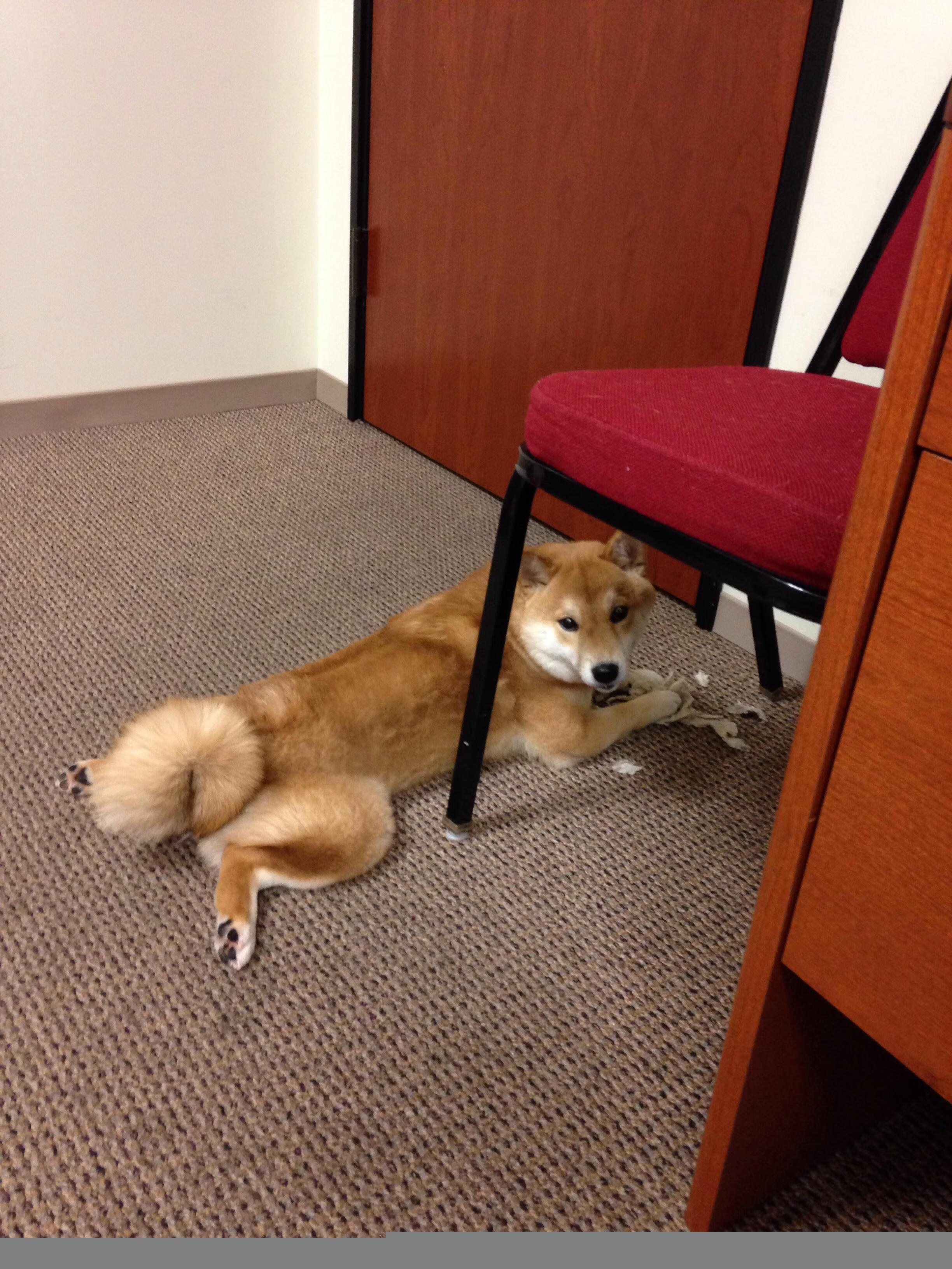 当哈登踩下油门，F1年度争冠之夜的节奏大师