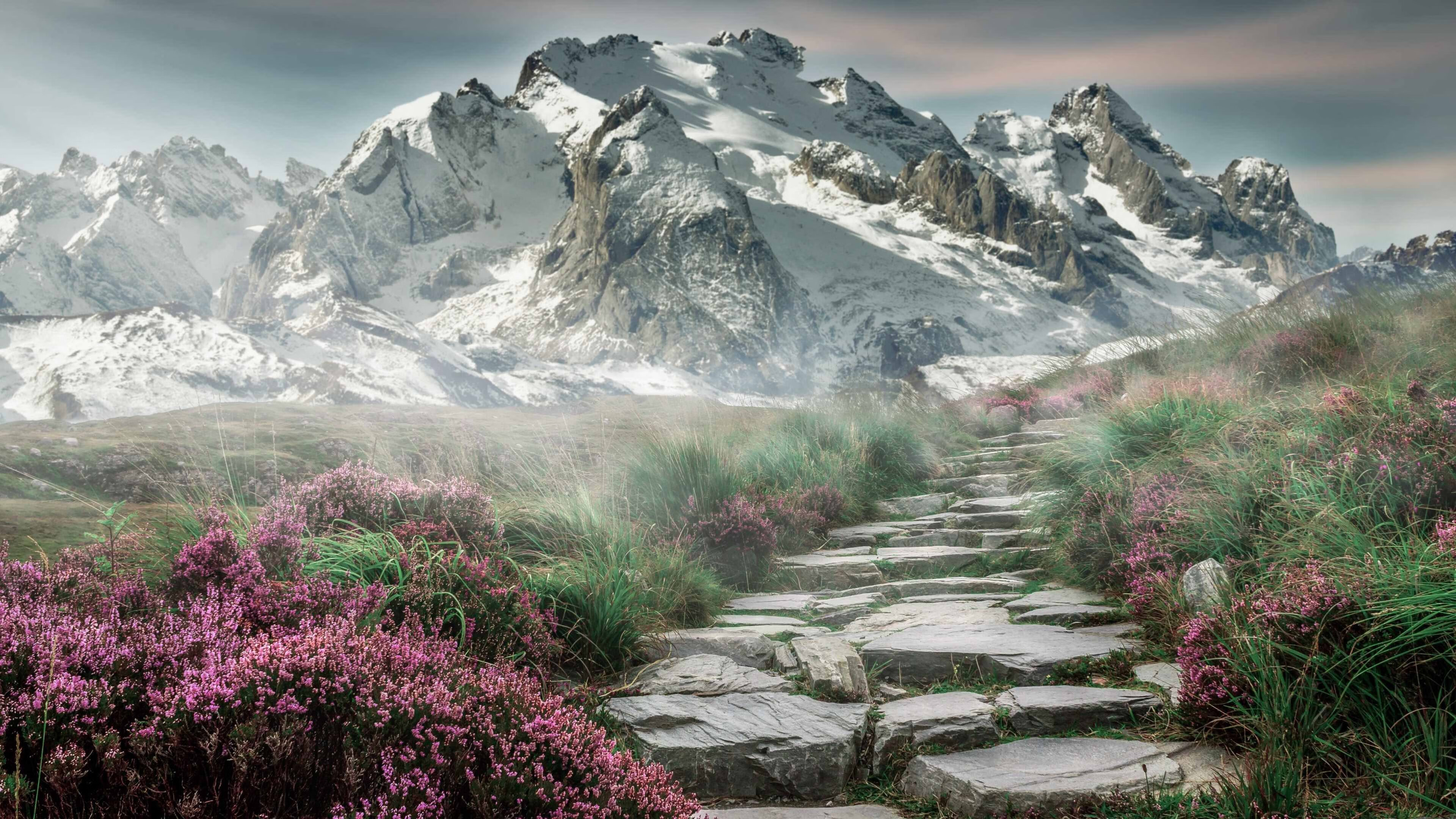 硬碰硬！全球关注的排名战，猛龙如何撕碎吉林队的钢铁防线？