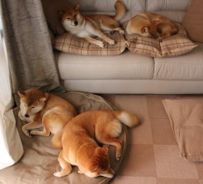 风暴席卷杭州!76人跨洋碾压浙江队,锡安化身关键先生一锤定音