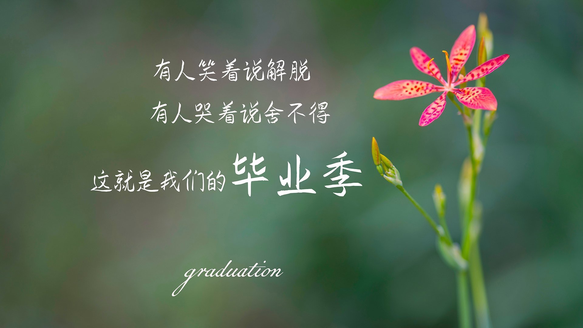 卡瓦哈尔定军山!皇马铁闸封喉,决胜局碾碎马里豪情