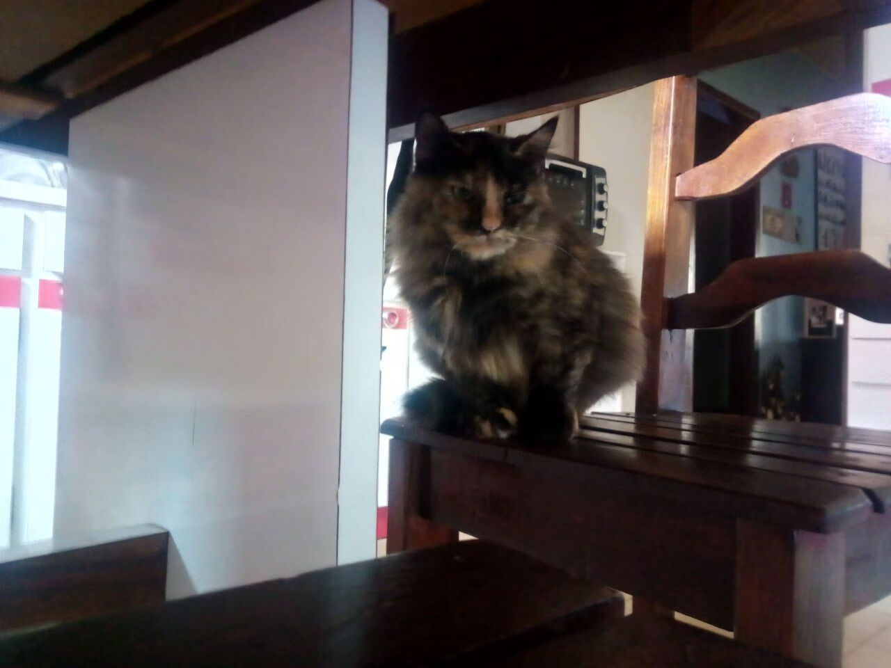 零点四秒,一球定音,当杜兰特不再是死神,而是唯一的计时器