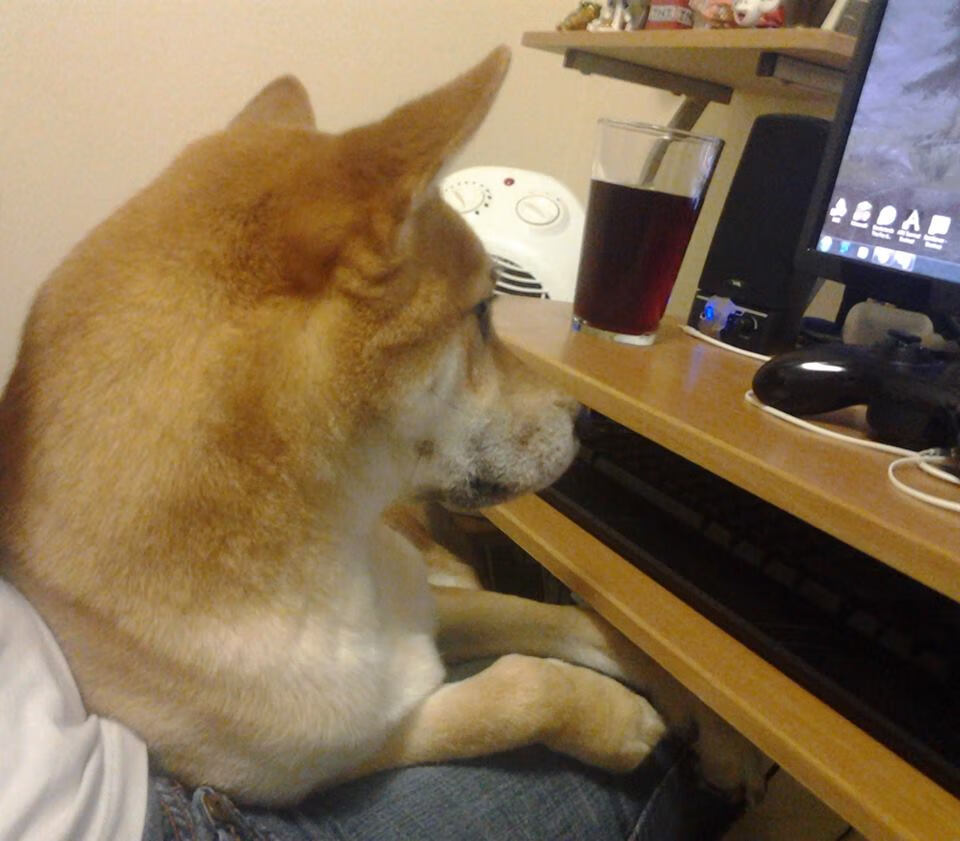 意甲焦点战与法国压制荷兰，绿茵场上的战术交响曲