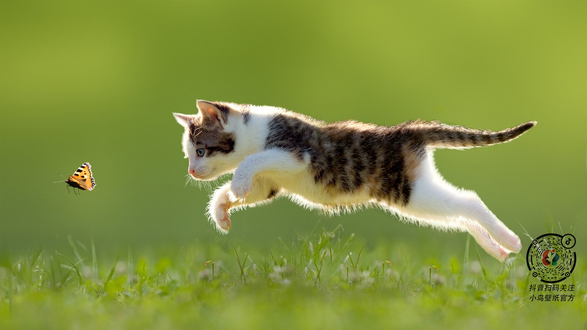 铁骑踏破长城防线，布伦森50分屠龙记