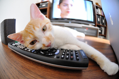 独步天下,布伦森如何用一场降维打击定义巨星唯一性