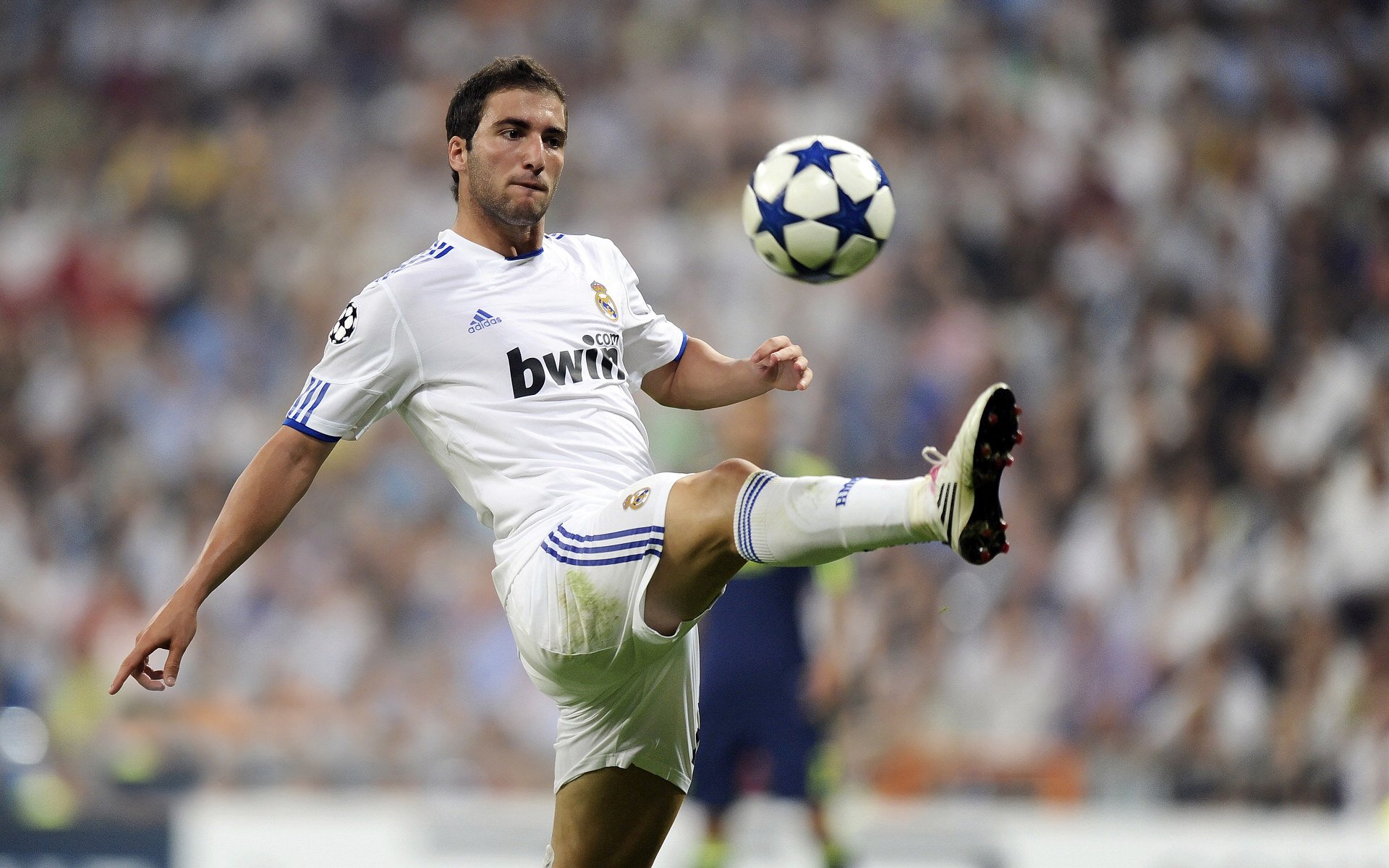 2026世界杯B组焦点战,波兰铁骑碾碎雄狮,贝林厄姆的指挥官时刻