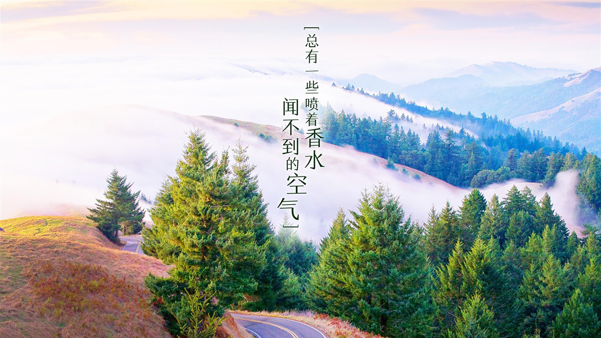 冰与火之歌,2026世界杯F组,泰国横扫冰岛,塔雷米以一人之力改写亚洲足球版图
