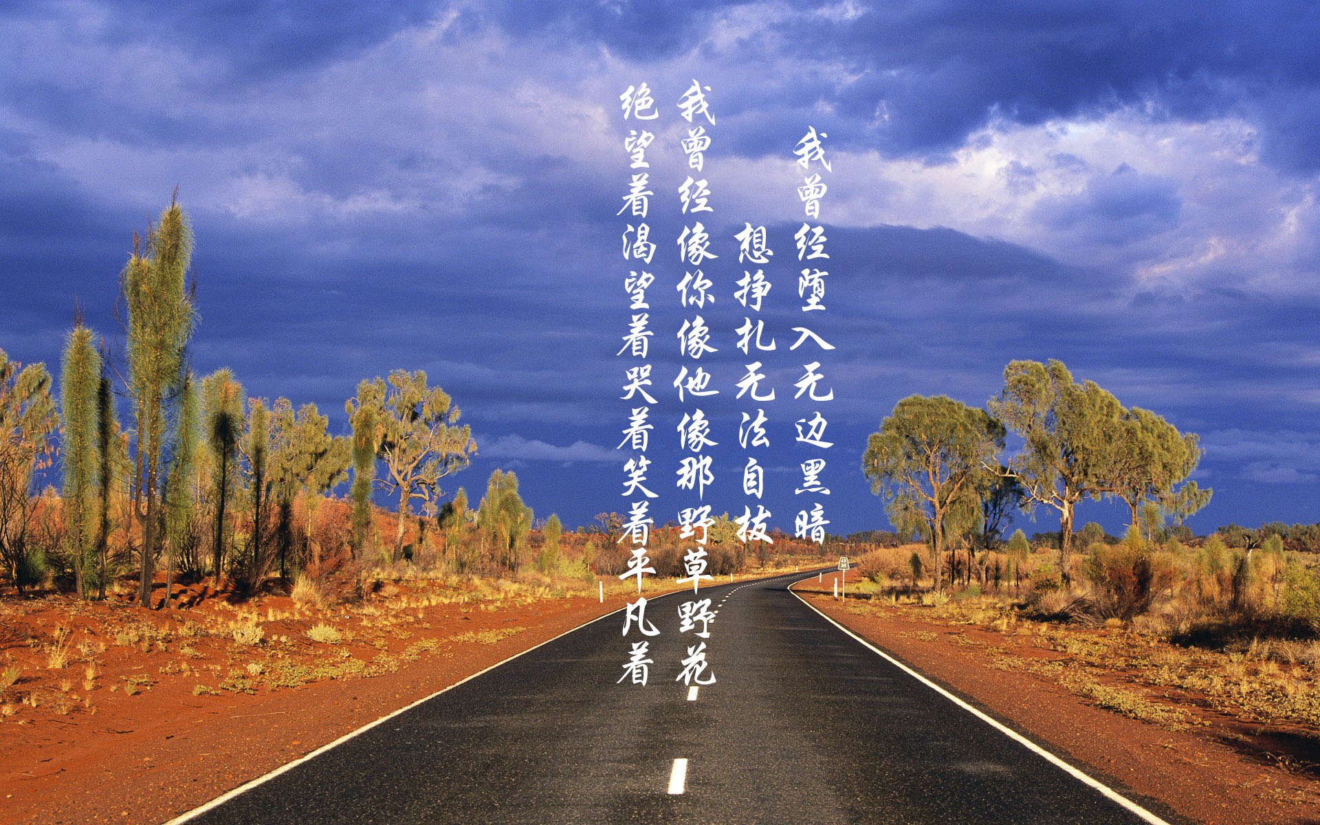 铁幕挽歌,当波兰的日耳曼心脏在沙漠中跳动—京多安导演2026世界杯E组最冷血的一场胜利