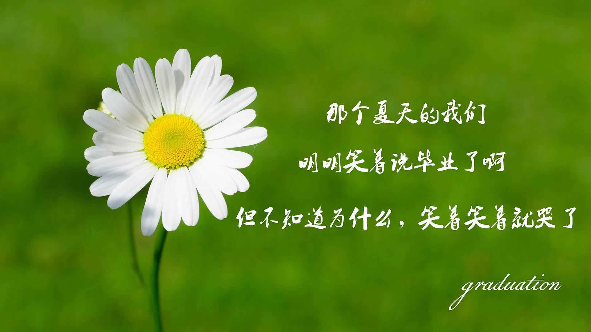 那一刻,整个G组为之屏息,拉什福德绝杀挪威,改写2026世界杯命运线