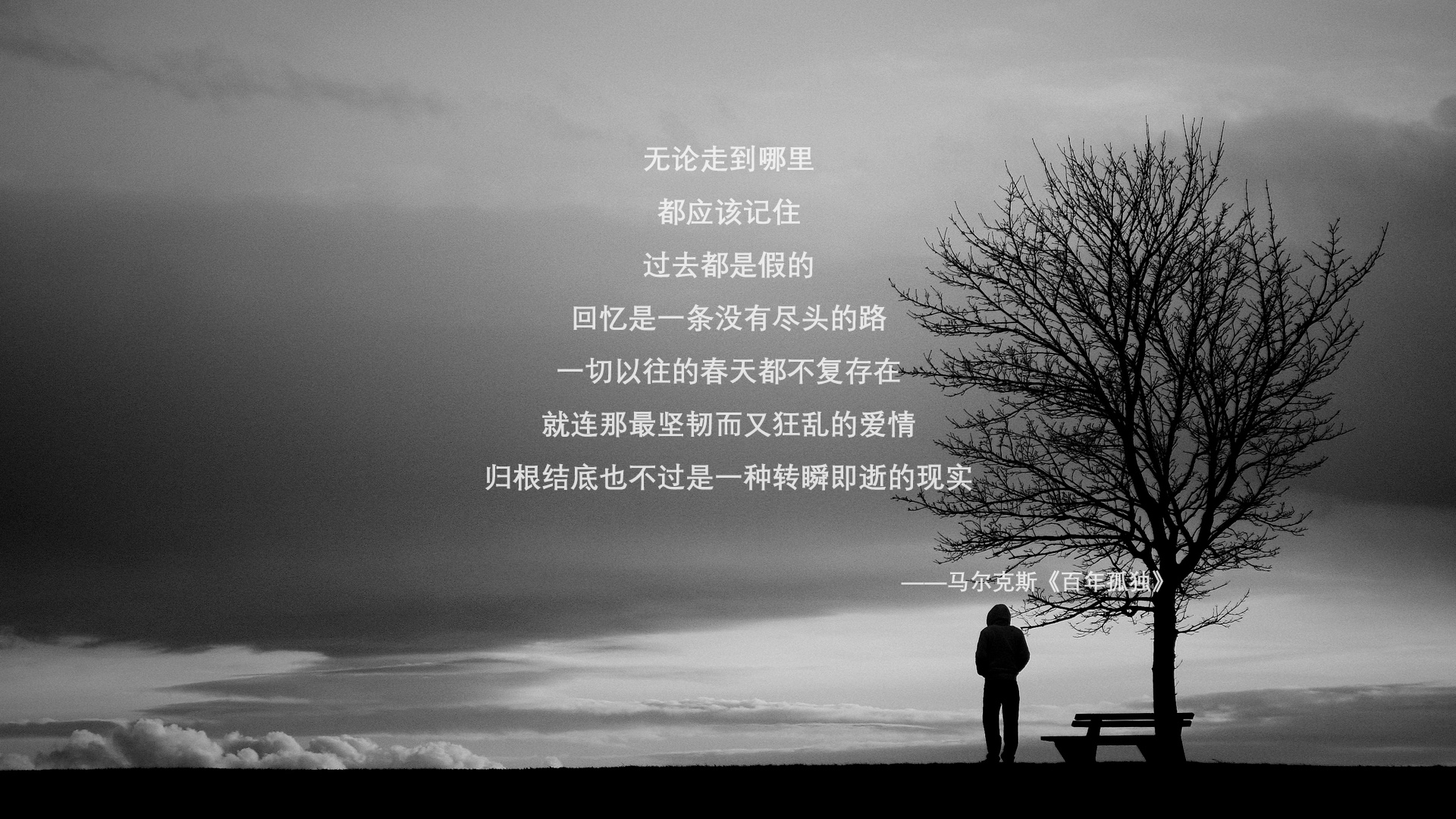 2026世界杯D组生死战,厄瓜多尔高原之矛刺破东欧铁骑,37岁莫德里奇用足球写诗
