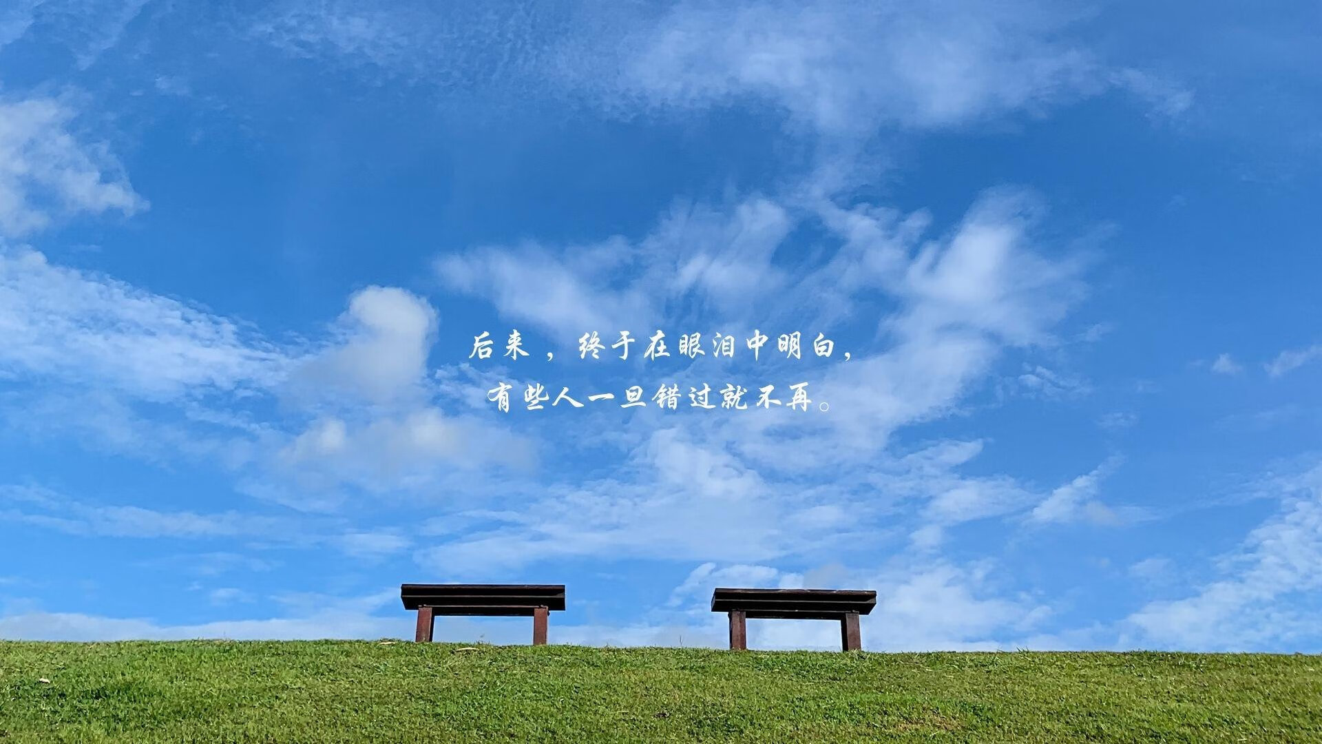 橙衣军魂,2026世界杯D组宿命之战,荷兰三剑客刺穿葡萄牙,苏亚雷斯以智谋书写唯一传奇