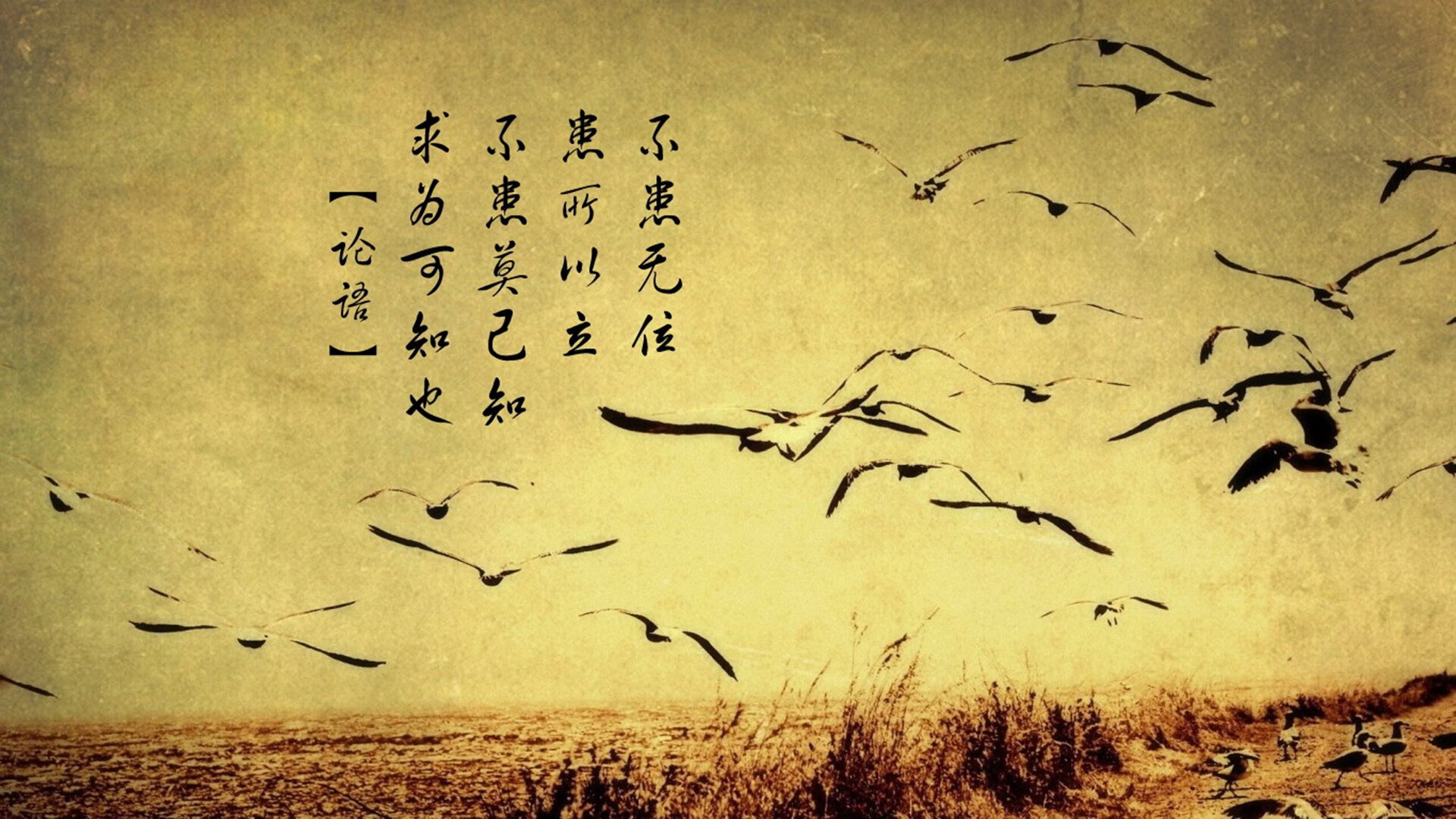 蓝武士的启示录,当唯一性战术哲学撕碎南美铁血—2026世界杯焦点战解码
